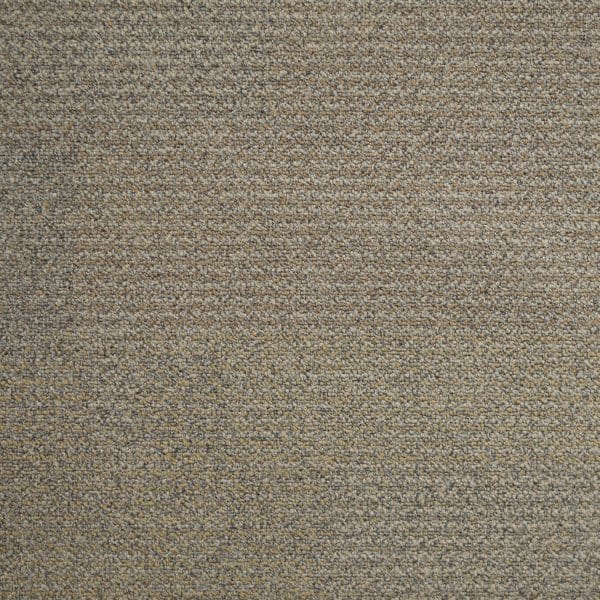 Transformation 1628004 Meadow