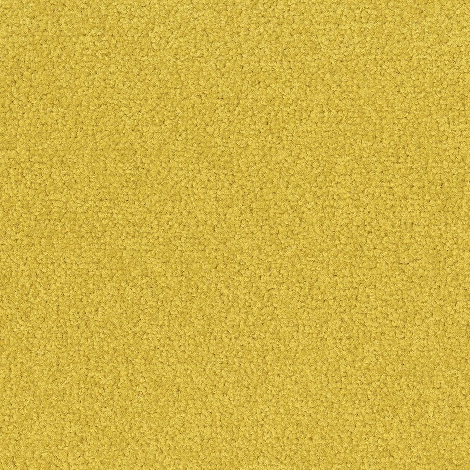 Palatino 6208
