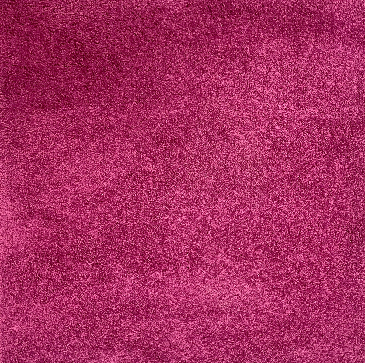 Palatino 4107