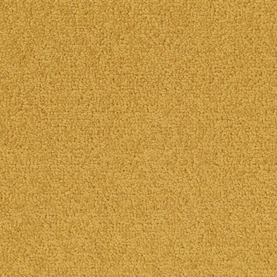 Palatino 6016