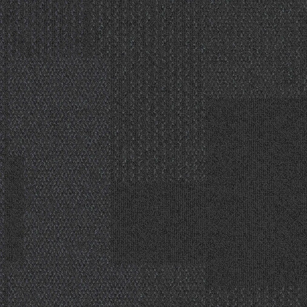 Transformation 1628067 Nightshade