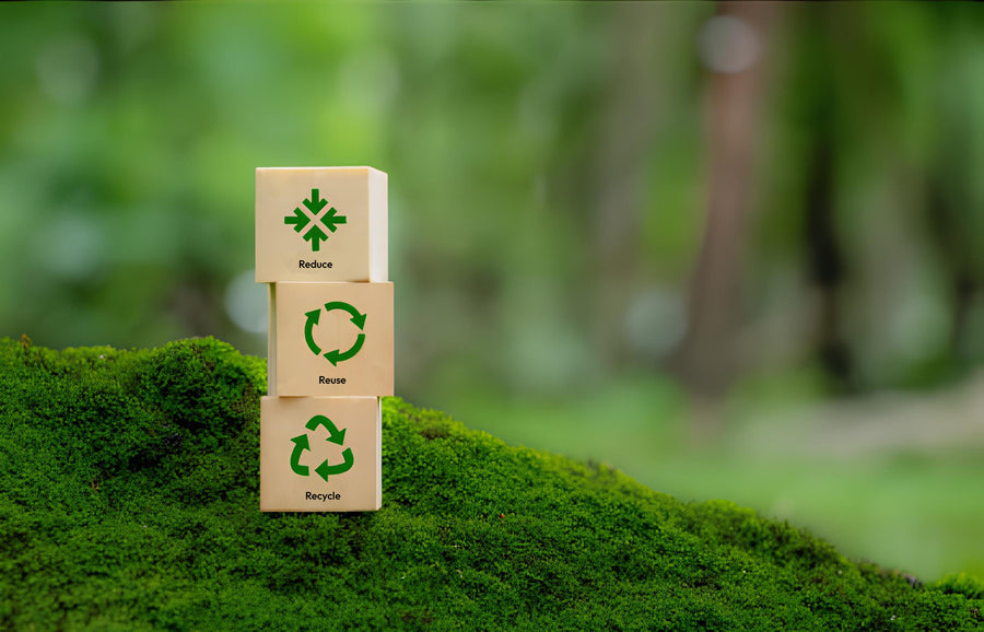 Différence entre réemploi, recyclage et réutilisation des déchets : guide complet