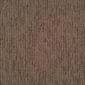 briiks-file:cover:241001-02