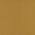 briiks-file:cover:250505-01