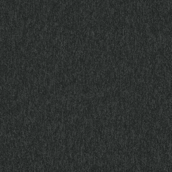 New Horizons II 5589 Carbon