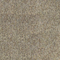 briiks-file:cover:240211-01