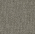 briiks-file:cover:250807-01