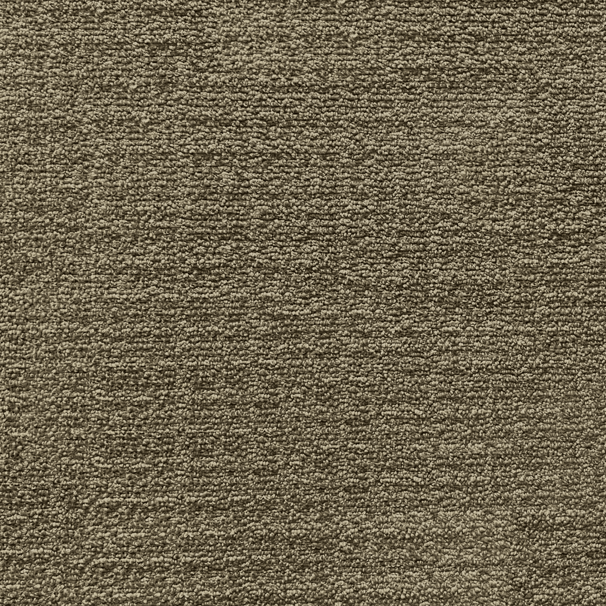 Scape 2943