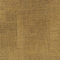 briiks-file:cover:241101-02