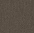 briiks-file:cover:250307-01
