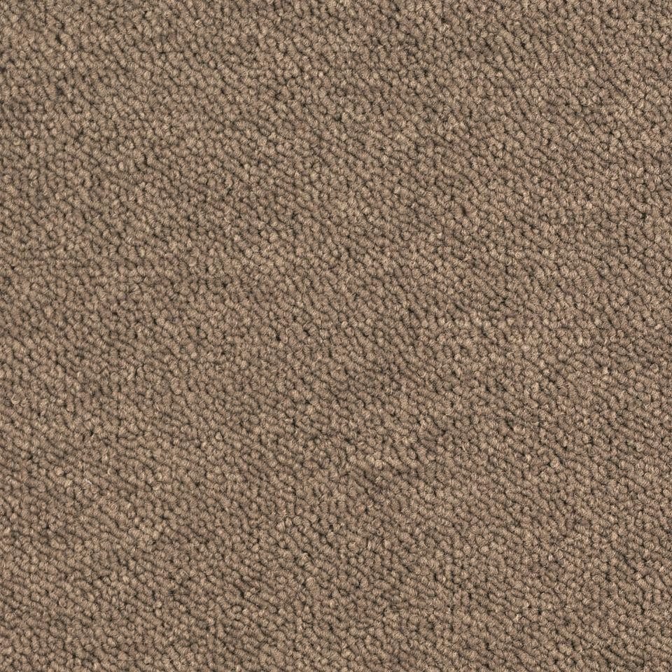 Essence 2925