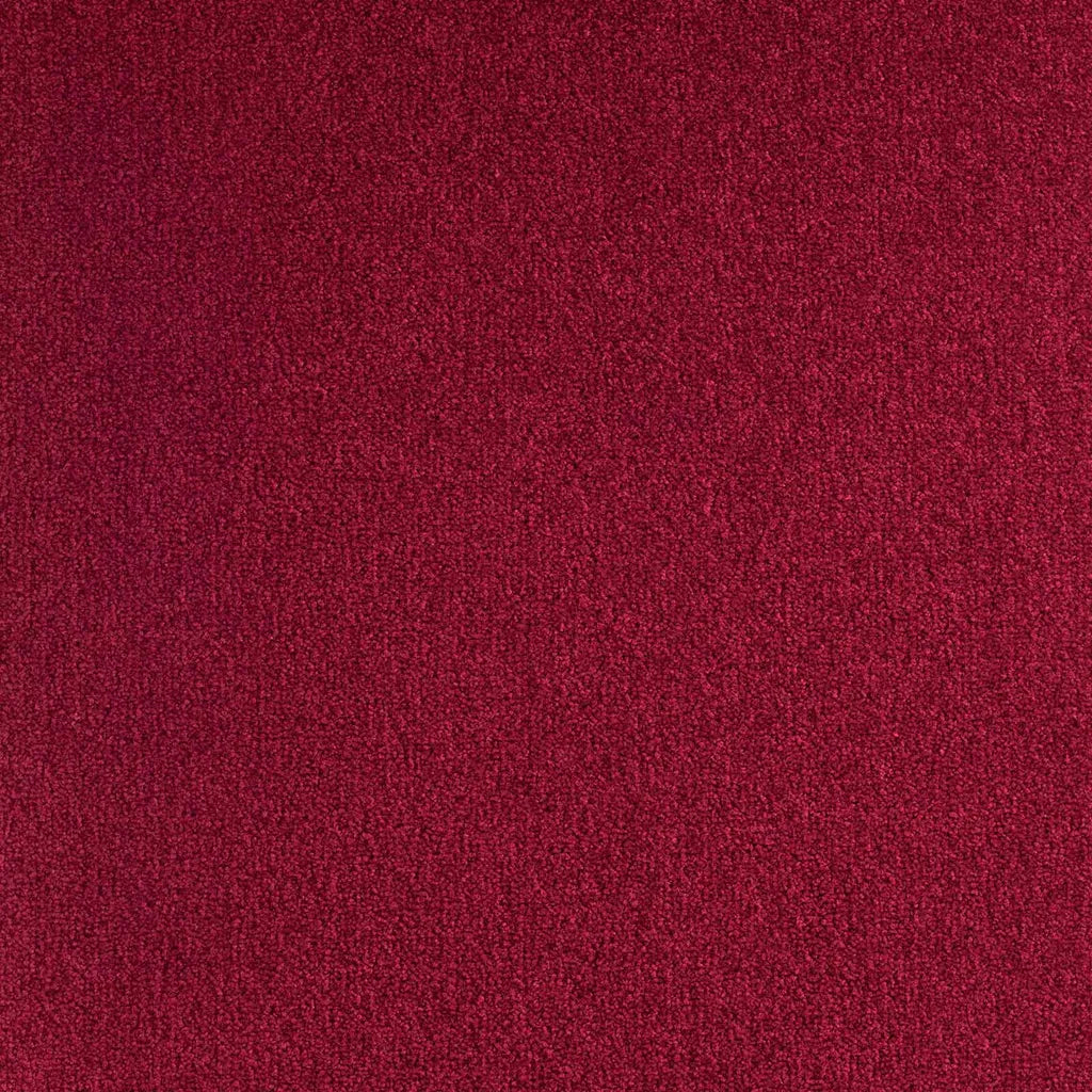 Bolero 570