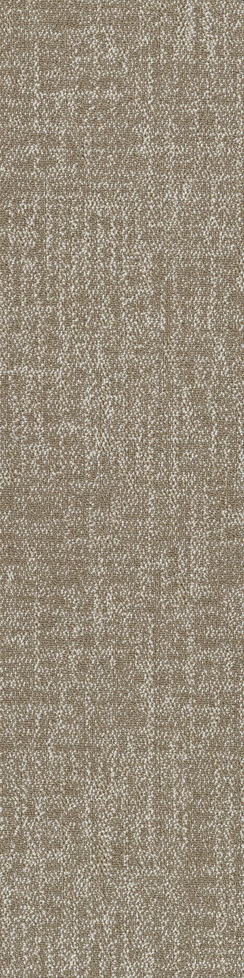 5T253 rectangle